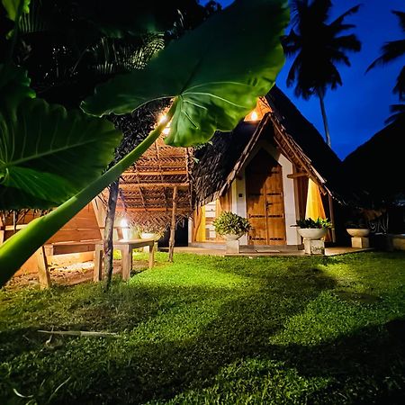Turtle Wood Cabin 탕갈레 외부 사진