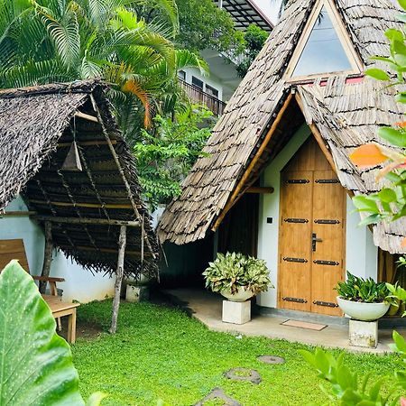 Turtle Wood Cabin 탕갈레 외부 사진