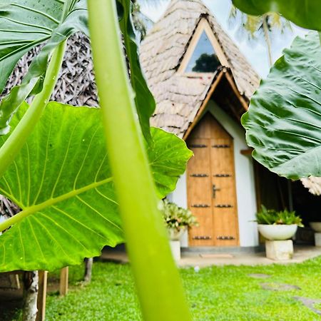 Turtle Wood Cabin 탕갈레 외부 사진