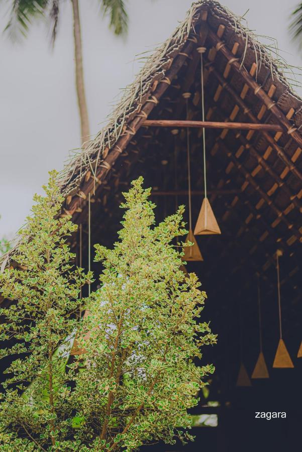 Turtle Wood Cabin 탕갈레 외부 사진