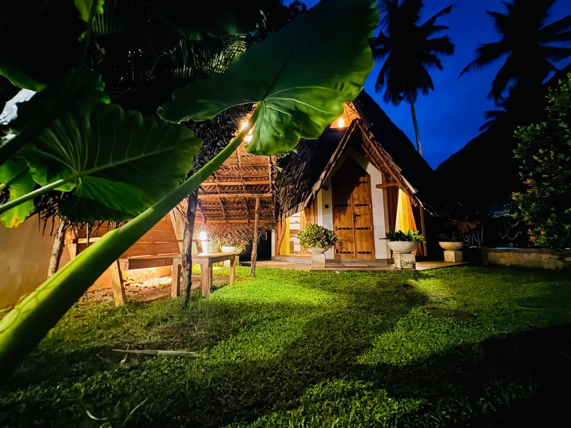 Turtle Wood Cabin 탕갈레 외부 사진