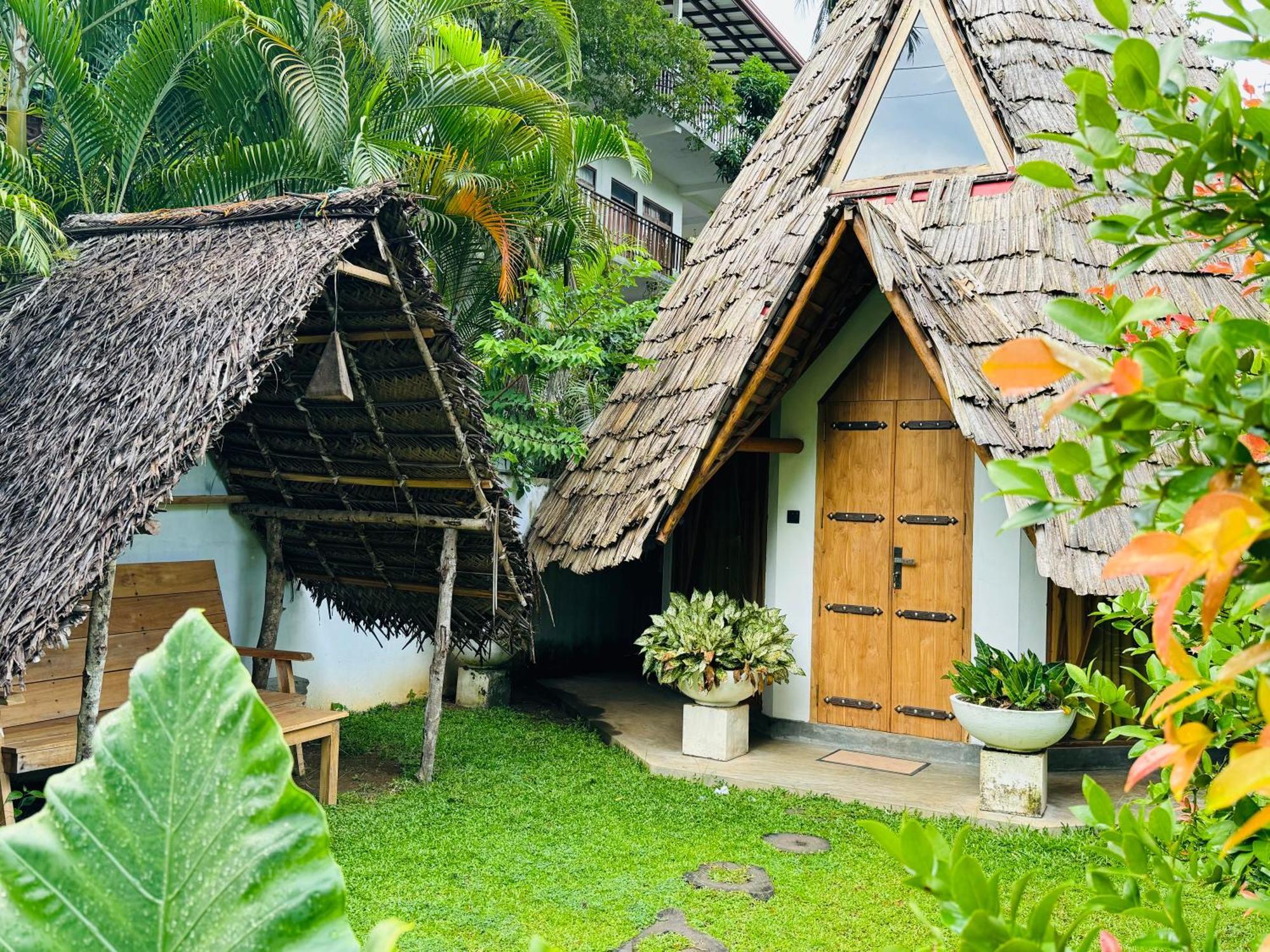 Turtle Wood Cabin 탕갈레 외부 사진