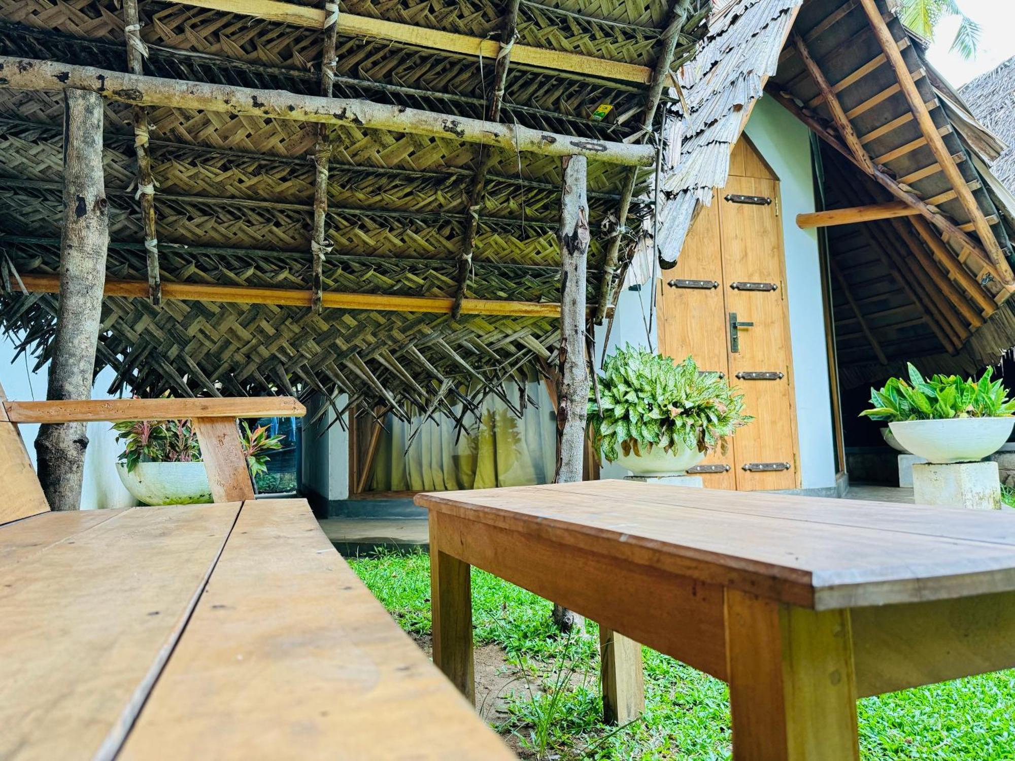 Turtle Wood Cabin 탕갈레 외부 사진