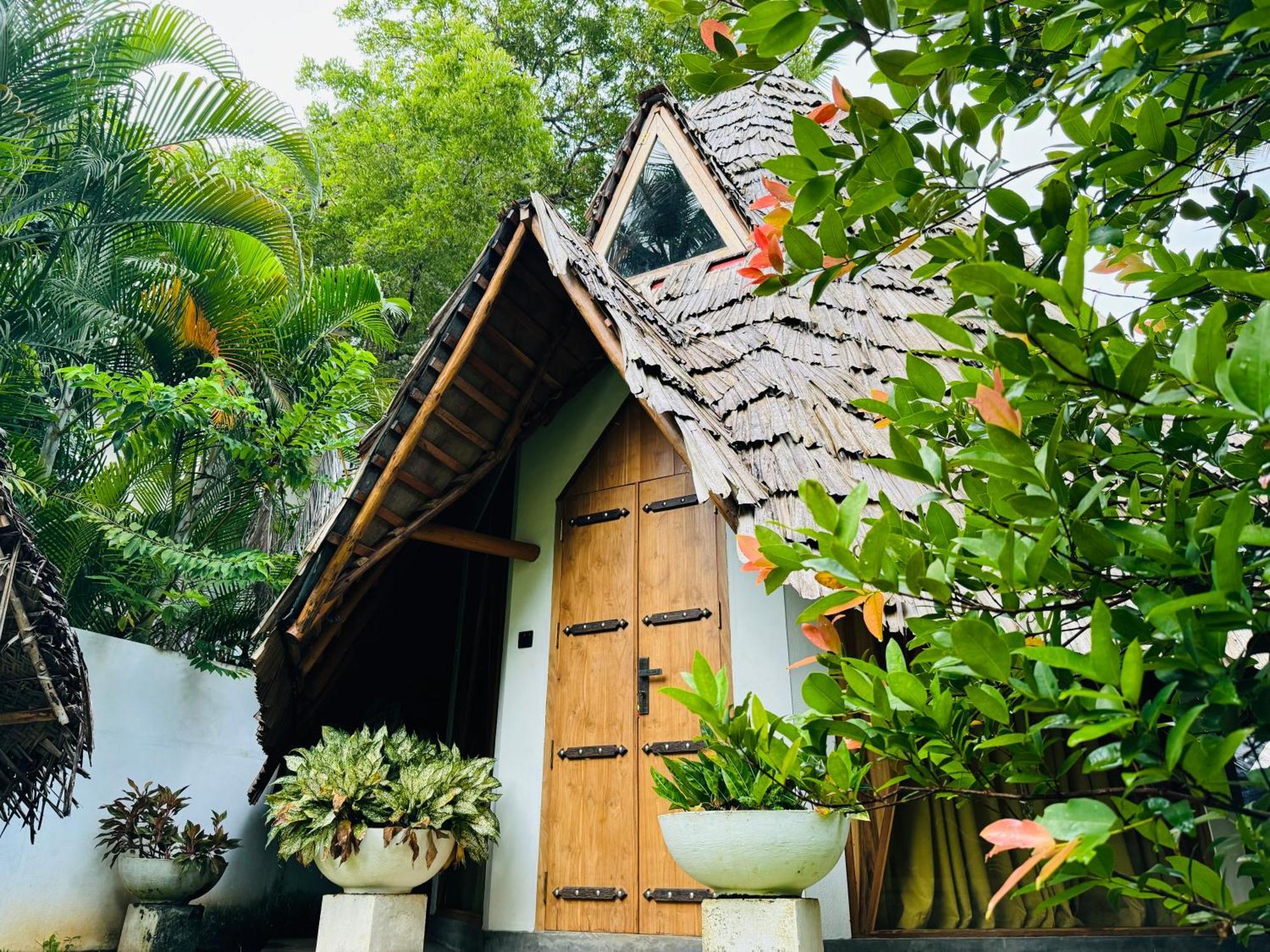 Turtle Wood Cabin 탕갈레 외부 사진