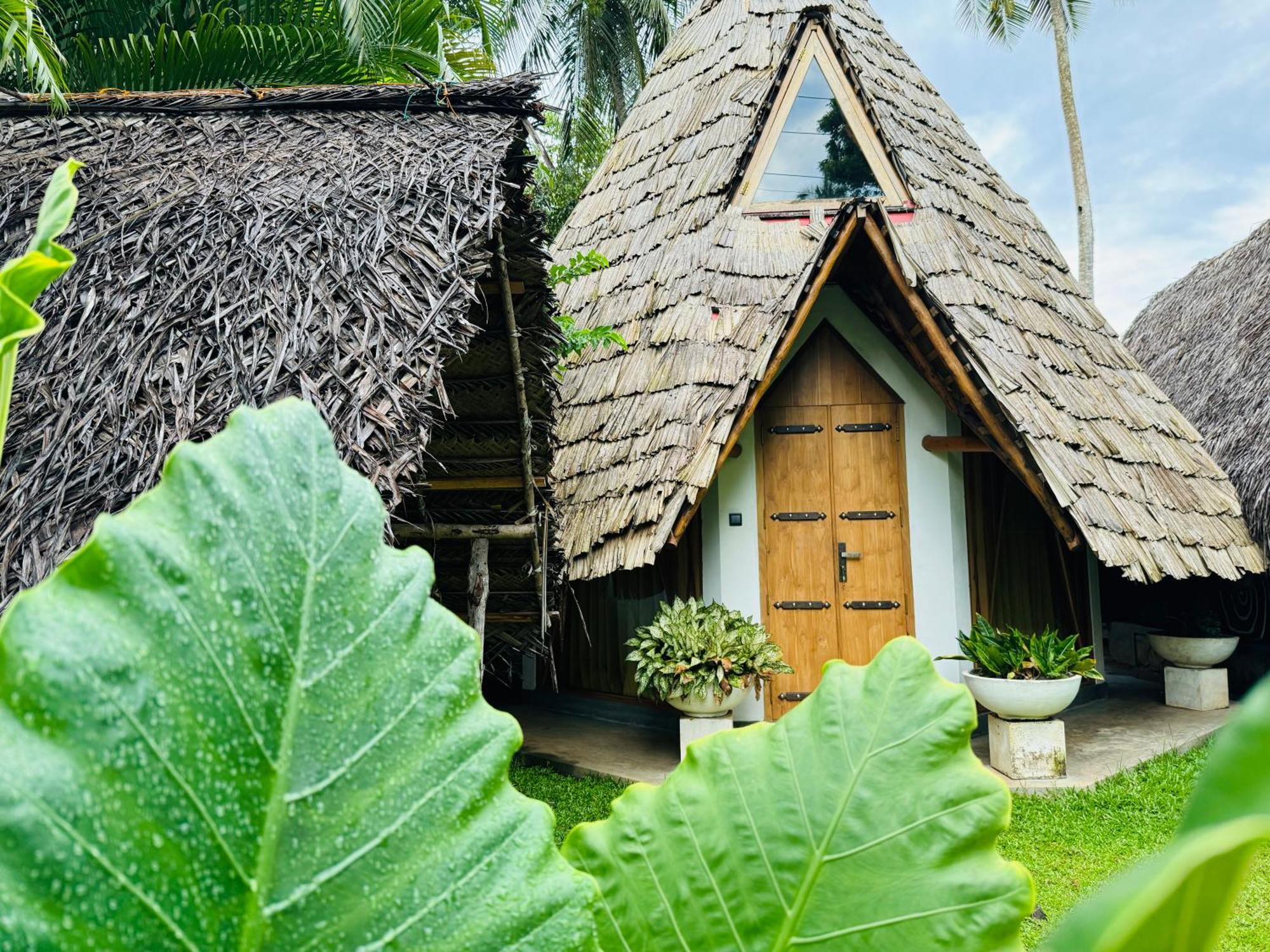 Turtle Wood Cabin 탕갈레 외부 사진
