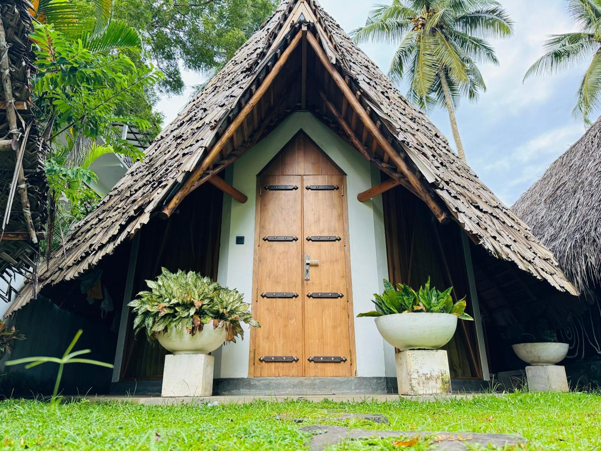 Turtle Wood Cabin 탕갈레 외부 사진