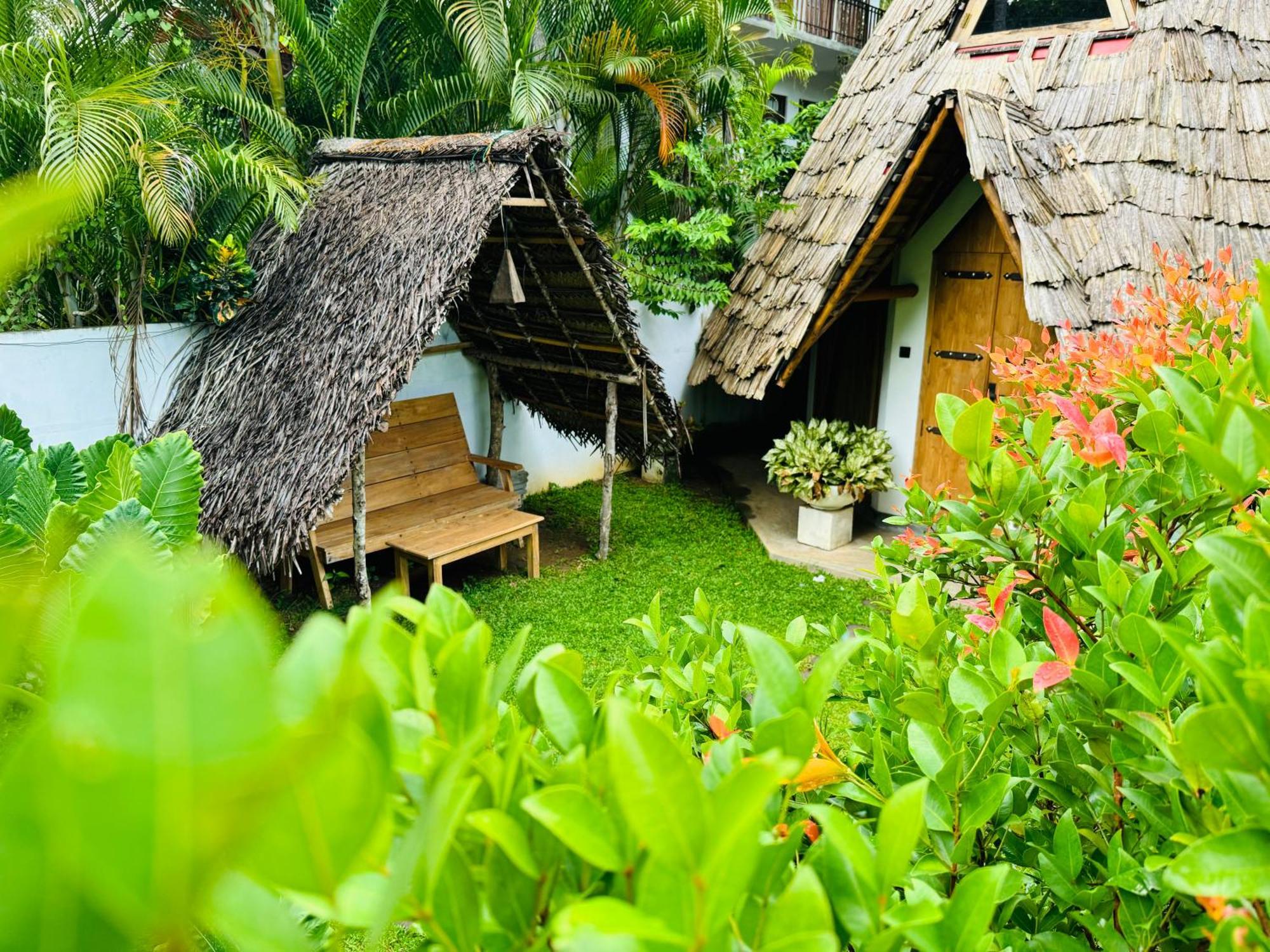 Turtle Wood Cabin 탕갈레 외부 사진