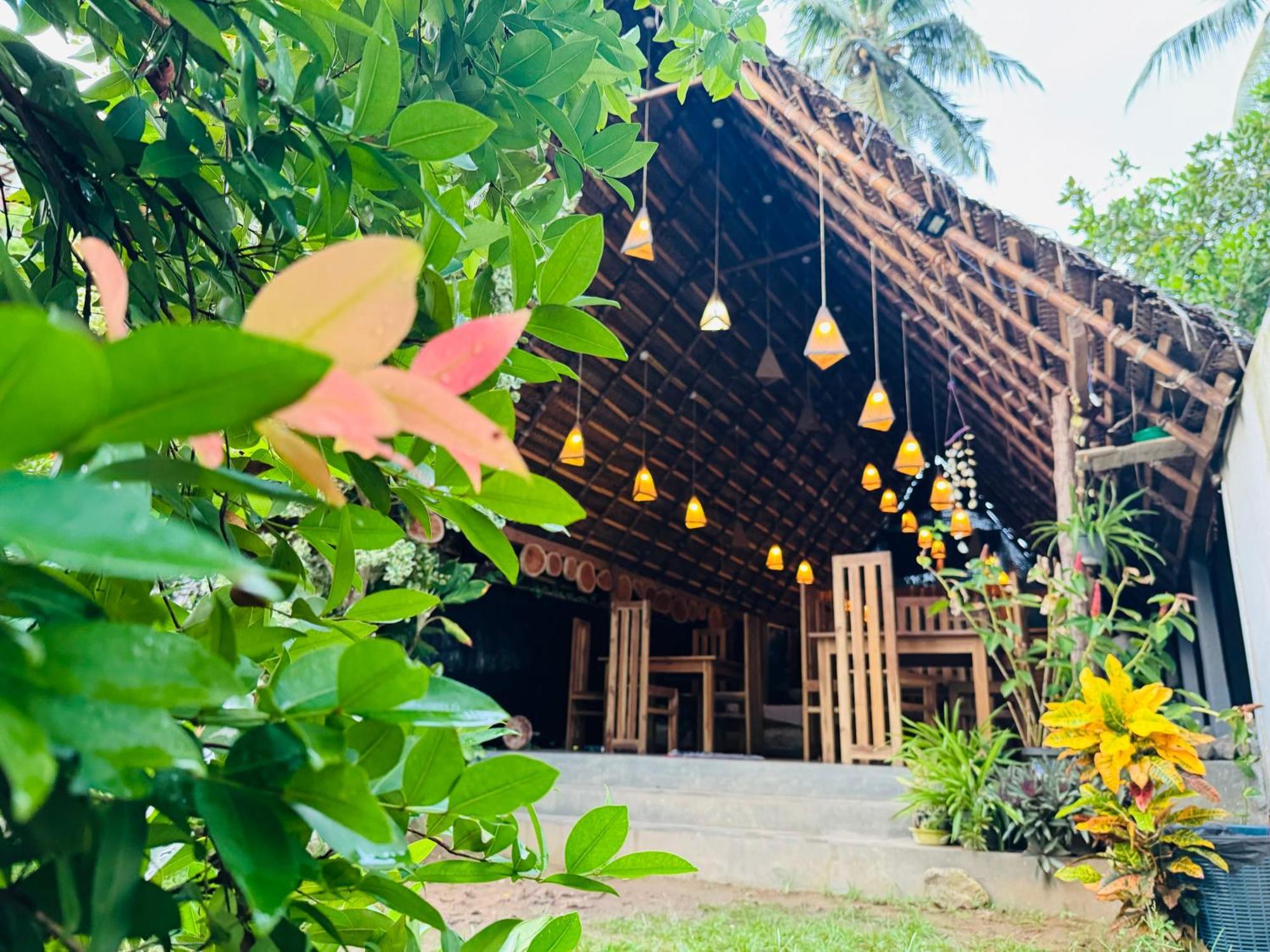 Turtle Wood Cabin 탕갈레 외부 사진