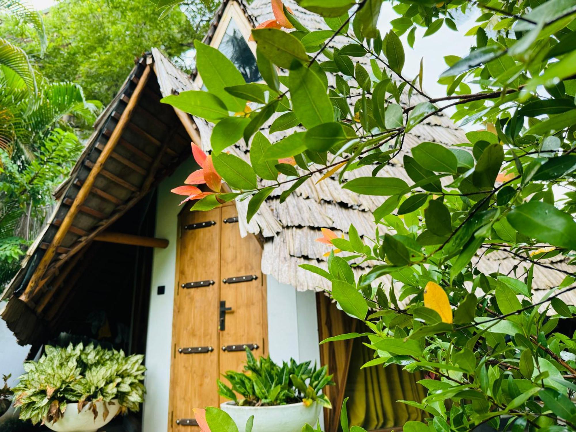 Turtle Wood Cabin 탕갈레 외부 사진