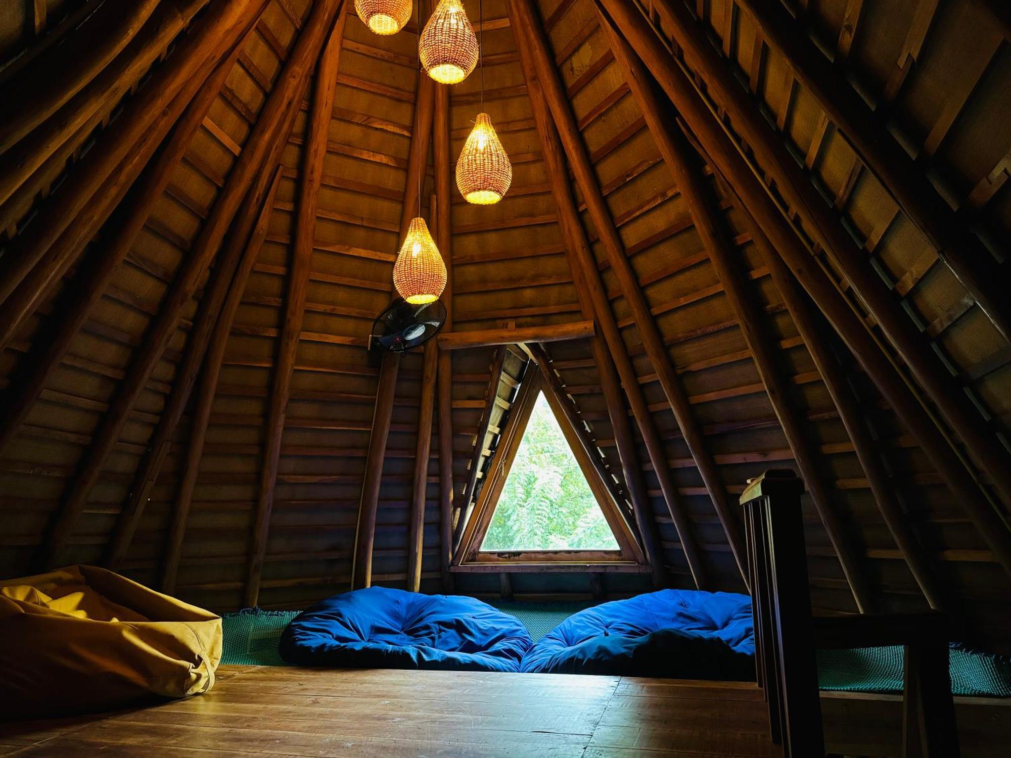 Turtle Wood Cabin 탕갈레 외부 사진