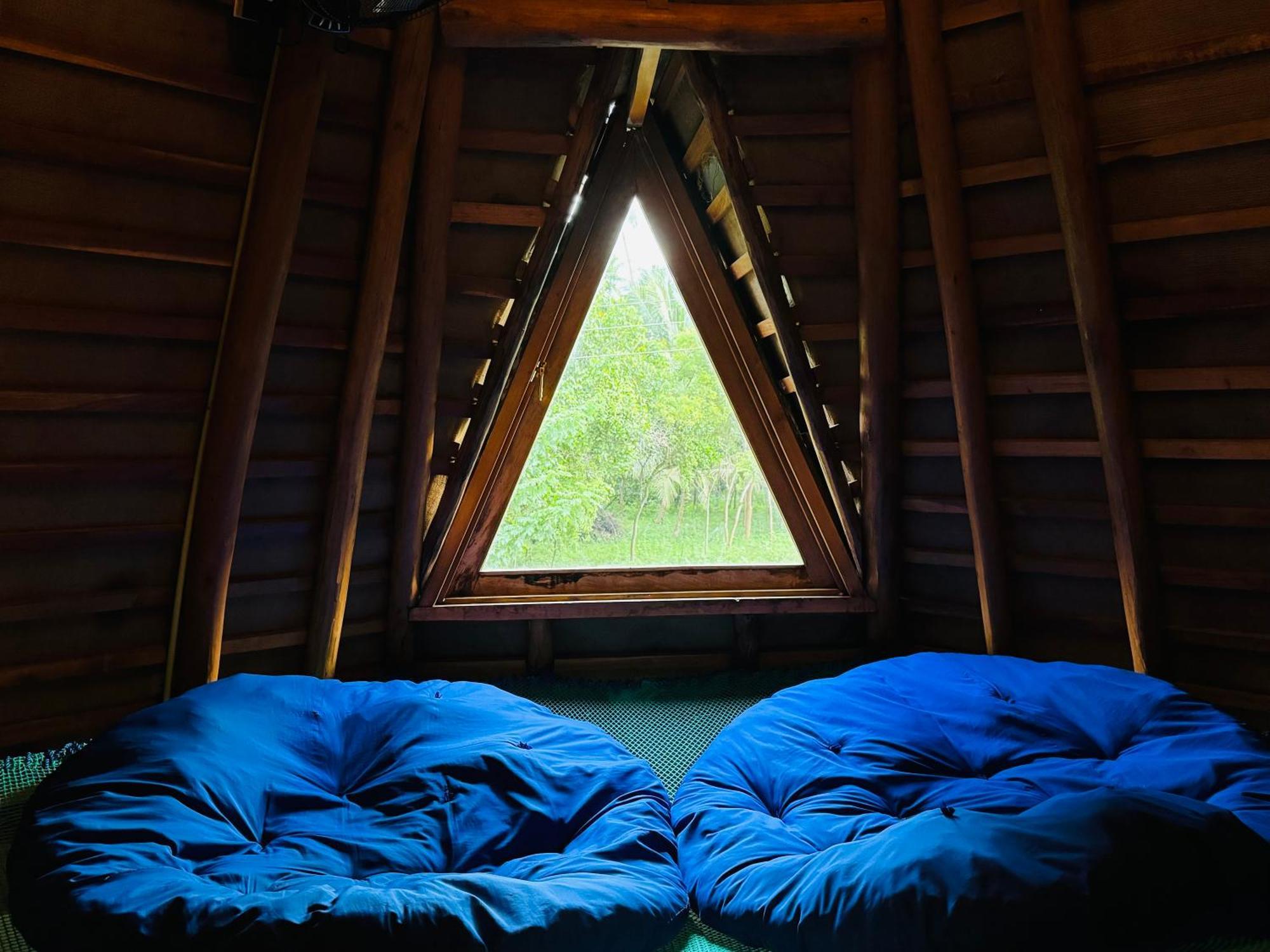 Turtle Wood Cabin 탕갈레 외부 사진